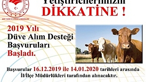 Düve Alımına %40 Hibe