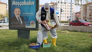 Başkan Esen, "Hiçbir Canlının Yaşamının Tehlikeye Girmesine İzin Vermeyeceğiz."