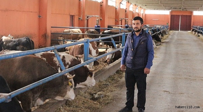 Genç Yatırımcımız Kadir Karakaya 1 Milyon 250 Bin Lira Destekle Besi Çiftliğinin Sahibi Oldu