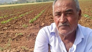 Tartıştığı Ağabeyi Tarafından Tüfekle Vurulan Kişi Öldü (1 Ölü)