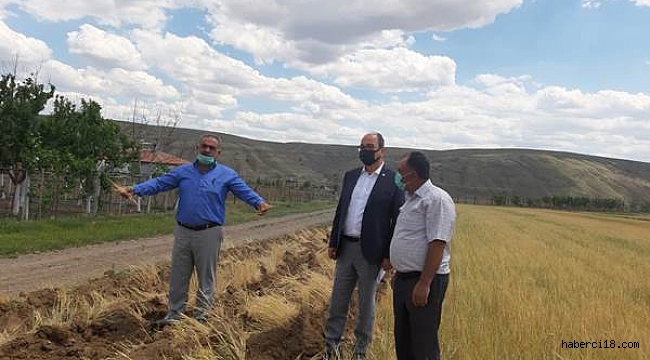 Çankırılı Çiftçiler Endişeli