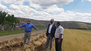 Çankırılı Çiftçiler Endişeli