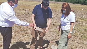 ÇAKÜ Çankırı Yerüstü Kültür Varlıklarından Sonra Yeraltı Kültür Miraslarına da Sahip Çıkıyor