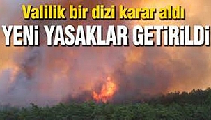 Orman Yangınlarının Önlenmesine İlişkin Tedbirler