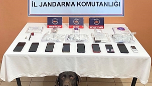 Çankırı'da Uyuşturucu Madde Satıcılarına Yönelik Operasyon 