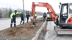 Çankırı'yı Ihlamur Kokuları Saracak
