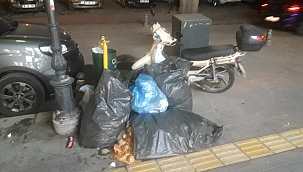 Hijyenin Sağlanması Amacıyla Bu Caddeye Çöp Konteynerleri Koyun (Özel Haber)