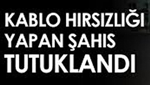 Çankırı'da Kaplo Hırsızlığı Şüpheli Tutuklandı