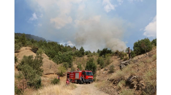 Çankırı'nın Ilgaz ilçesi Yukarı Bozan Köyü Mevkiinde Orman Yangını 