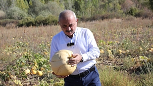 Çankırı Belediyesi Üretmeye Doymuyor