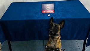 Çankırı'da Uyuşturucu Operasyonunda Yakalanan Şüpheli Tutuklandı