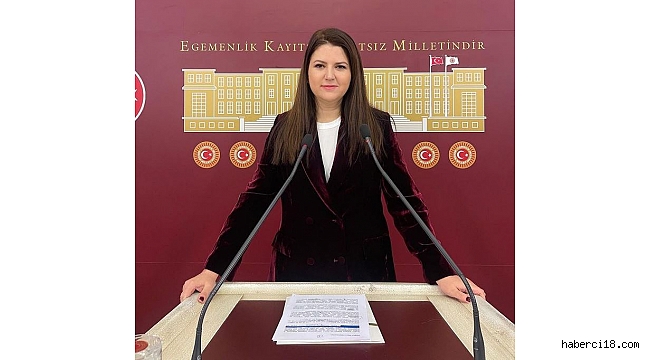 Çankırı Milletvekilimiz Pelin Yılık TBMM'de Basın Açıklaması Yaptı