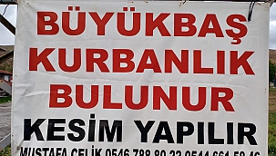 Çankırı Merkez Süleymanlı Köyünde Dana, Düve Kurbanlık Satışları Başladı