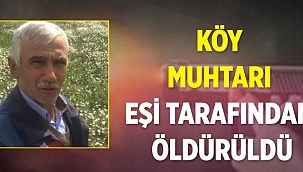 Ilgaz Çeltikbaşı Köyü Muhtarı Ateşli Silahla Vurularak Öldürüldü