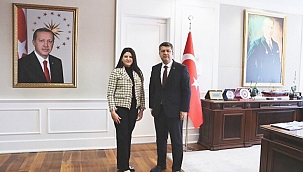 Milletvekili Yılık, Çankırı'da Sağlık Alanındaki İhtiyaçları Bakan Yardımcısına İletti