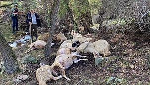 Çankırı Çukurören Köyüne Yıldırım Düştü