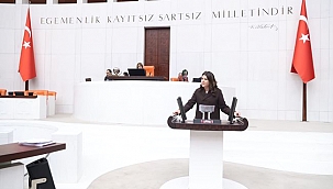 MHP Çankırı Milletvekili Pelin Yılık TBMM'sinde Konuştu