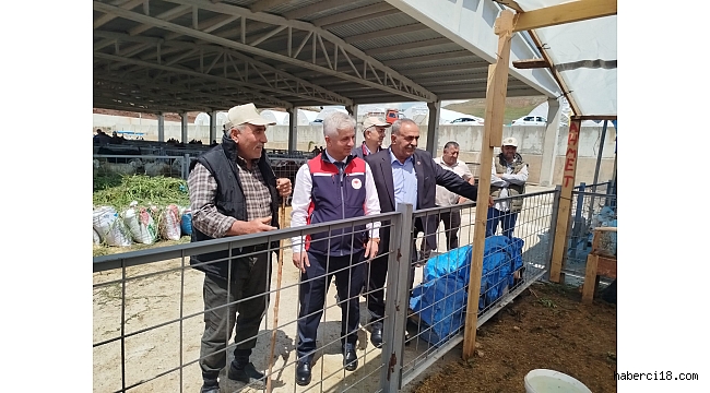 Hayvan Pazarında İncelemelerde Bulundular