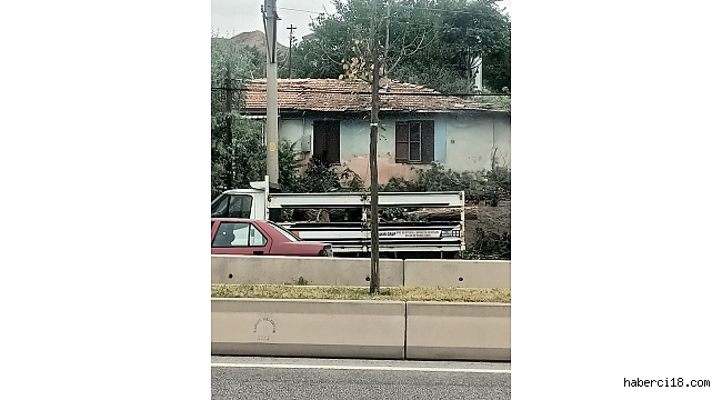 Ağaç Yıkımının Altından Baz İstasyonu Çıktı!