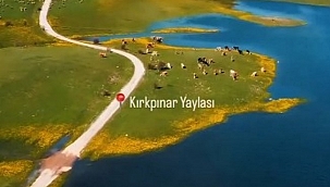 Son Dakika: Ilgaz Kırkpınar Yaylasına Çıkışlar Yasaklandı (Özel Haber)