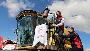 Kızılırmak da Çeltik Hasadı Coşkusu