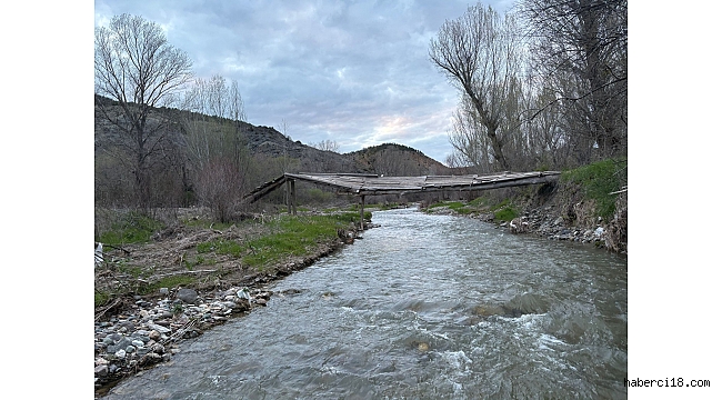Yıkılan Ahşap Köprüden Karşıya Geçme Çabası (Özel Haber)