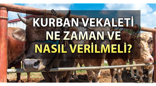 Kurban İbadeti ve Vekâletle Kurban