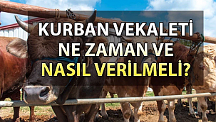 Kurban İbadeti ve Vekâletle Kurban