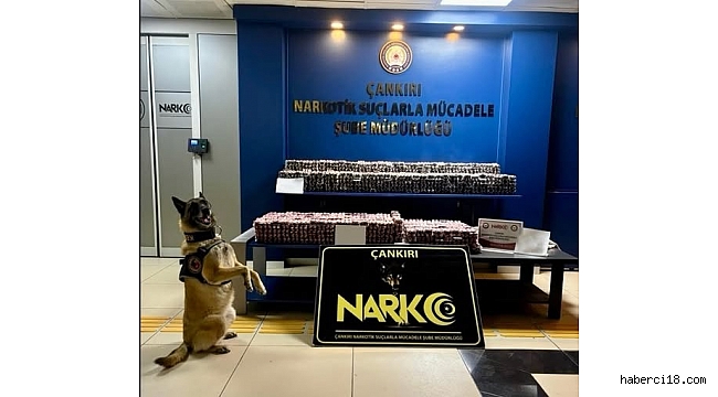Neler Oluyor Memlekette?