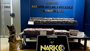 Neler Oluyor Memlekette?