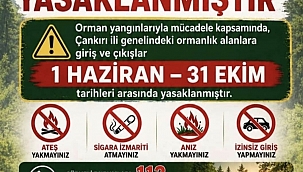 Dikkat! Çankırı İl Genelinde Ormanlara Giriş Yasağı Başladı