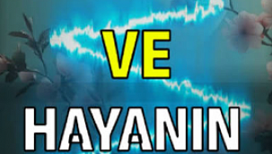 Hayâ Ve İffet